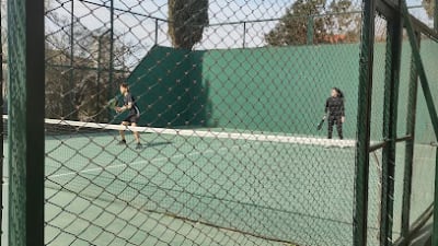 Paddle – photo 1