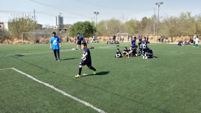 𝗕𝗢𝗧𝗔𝗡𝗜𝗖𝗢 – ᴄʟᴜʙ (Botánico Club) – photo 1