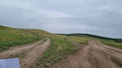 Country Labradores 2 – photo 1