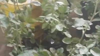 Pádel Loreto – photo 1