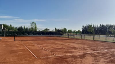 Terravista – photo 1