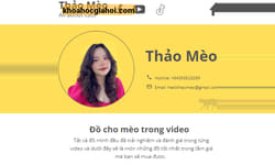 Khóa Học Tiktok Shop Thực Hành Thảo Mèo