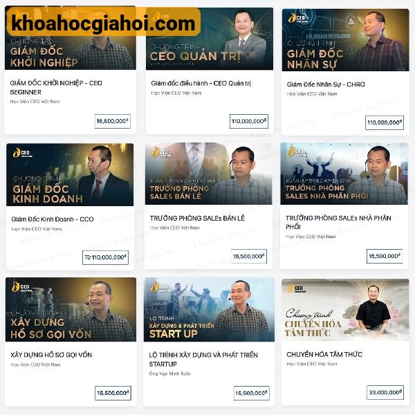 Trọn Bộ Học Viện Ceo Việt Nam Của Thầy Ngô Minh Tuấn