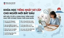 Khóa Học Tiếng Nhật Sơ Cấp Cho Người Mới Bắt Đầu