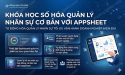 Khóa Học Số Hóa Quản Lý Nhân Sự Cơ Bản Với Appsheet