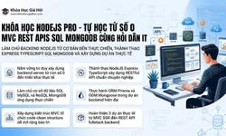 Khóa Học Nodejs Pro - Tự Học Từ Số 0 (Mvc, Rest Apis, Sql/mongodb) Cùng Hỏi Dân IT