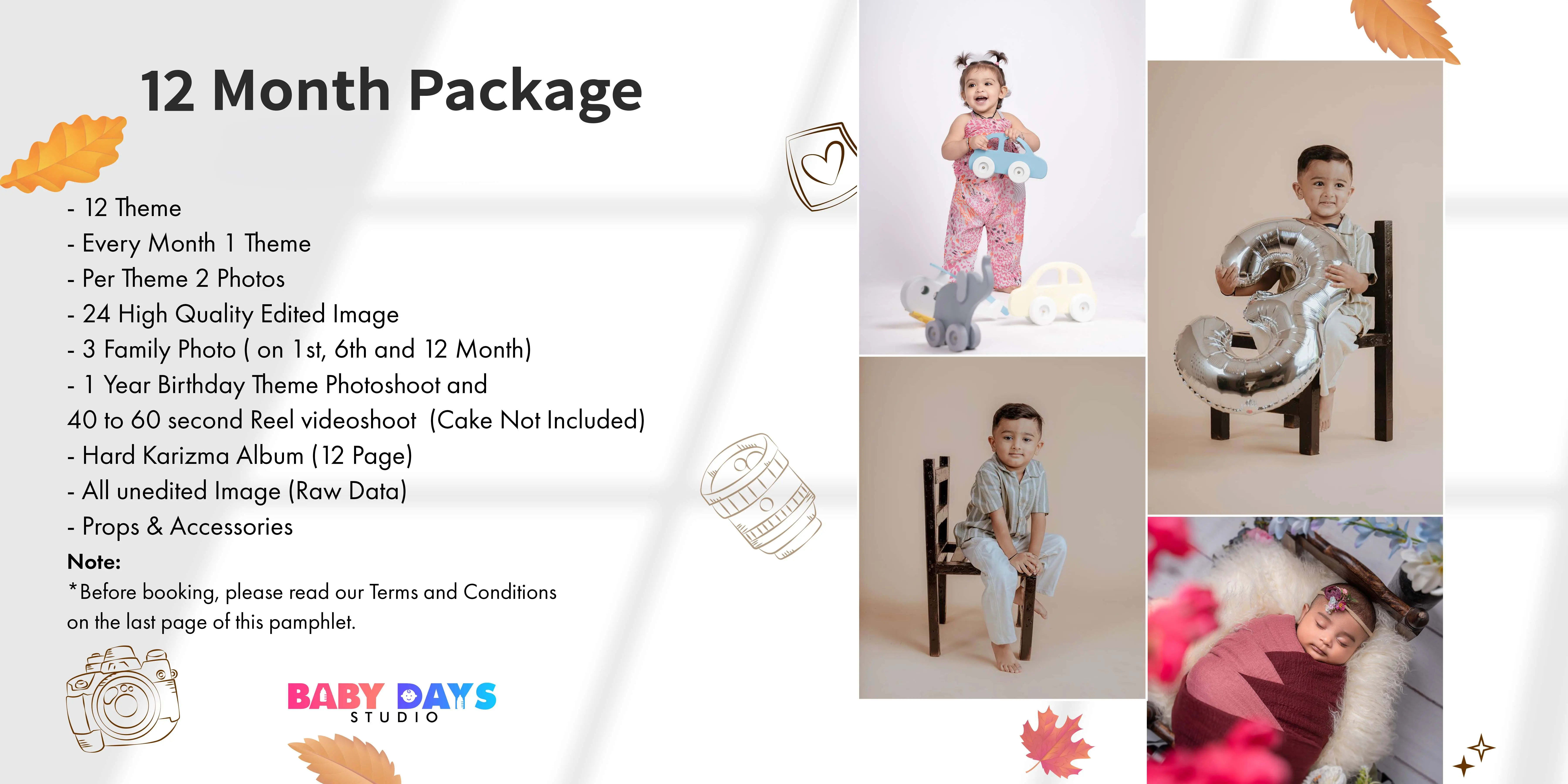 12 Month Package (12 theme)