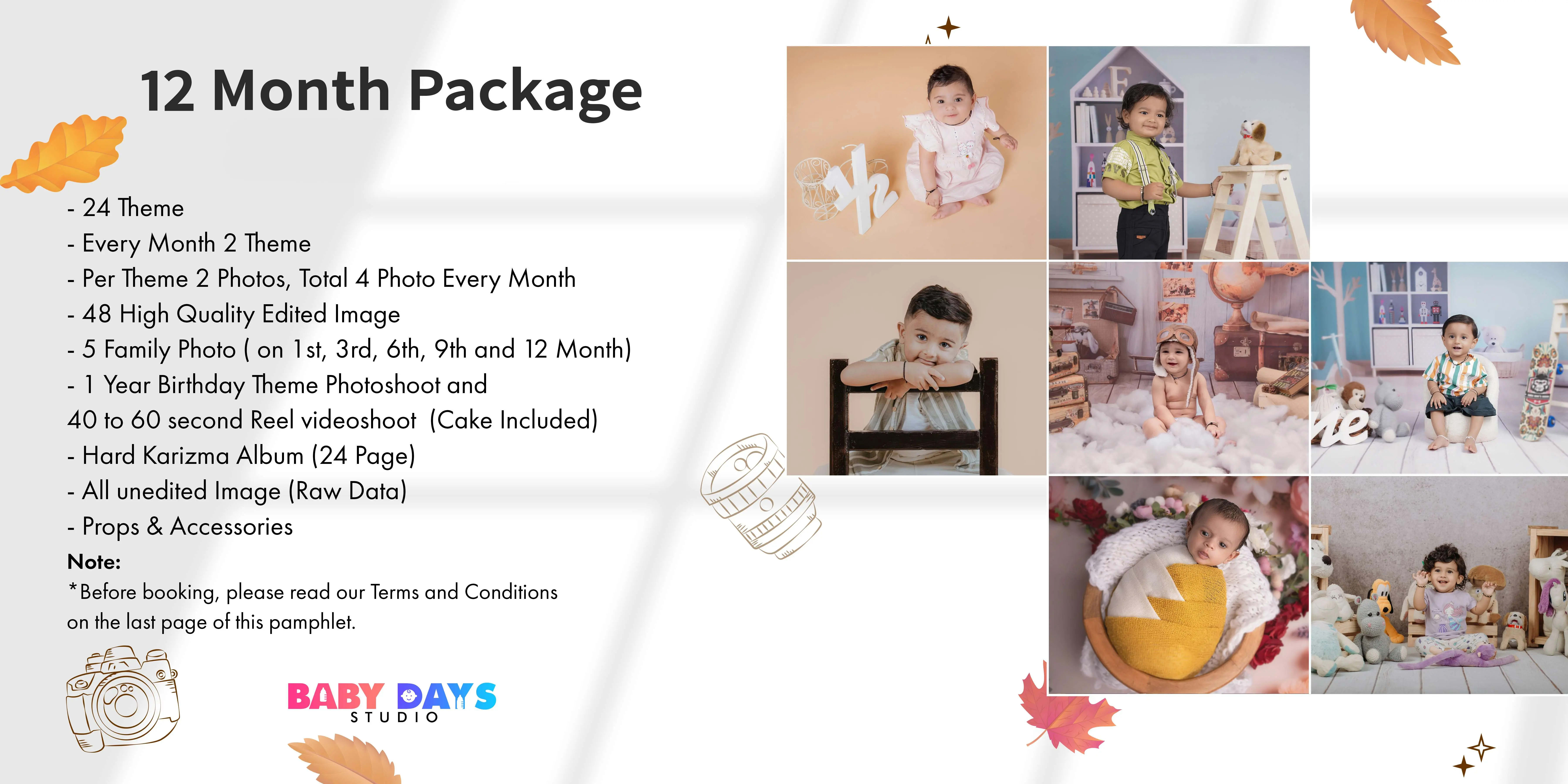 12 Month Package (24 theme)