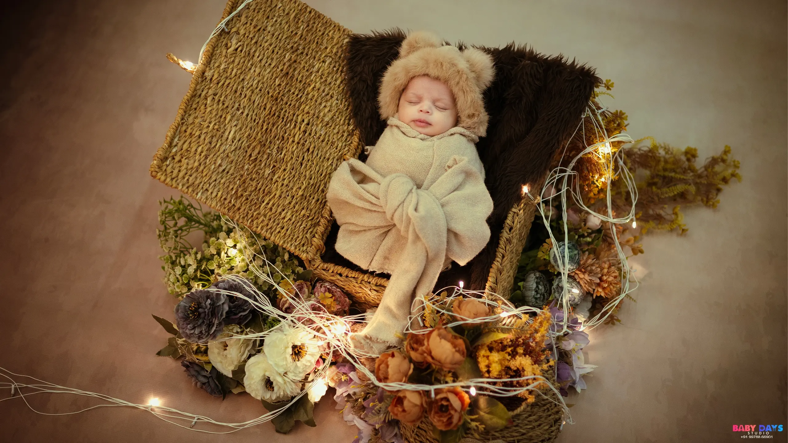 New Born Photoshoot