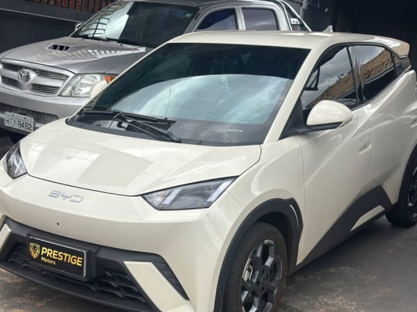 BYD Dolphin Mini 2025