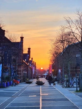10 days in Amsterdam and Rotterdam: itinerary with Top attractions and Hidden Gems