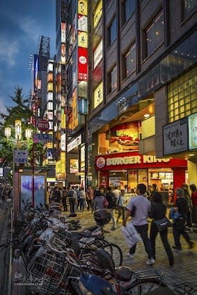 Complete 8-day guide to Tokyo, Japan with Top attractions and Nature and outdoor