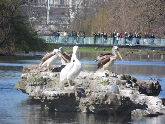 days in London & Manchester, UK: itinerary with Top attractions and Hidden Gems and Nature and outdoor