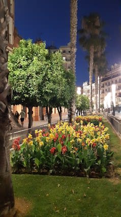 Seville & Madrid & Valencia, Spain 16-day travel plan covering Top attractions and Shopping