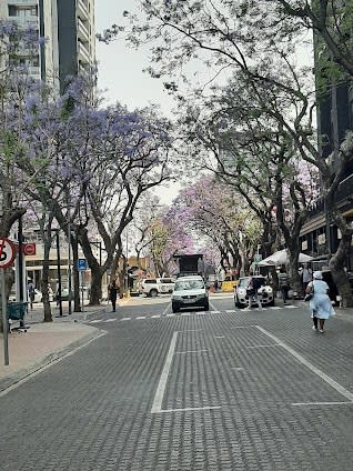 12-day itinerary in Johannesburg, South Africa focusing on Top attractions and Nature and outdoor
