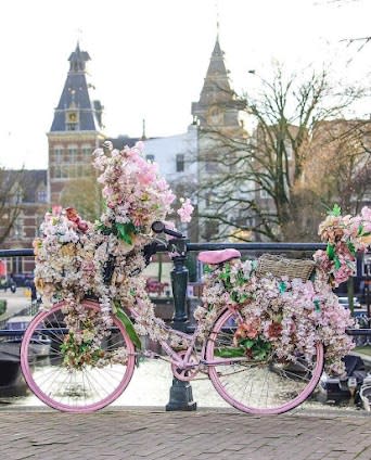 Amsterdam, Netherlands 9-day travel plan covering Top attractions and Shopping and Nature and outdoor