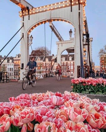 6 days in Amsterdam, Netherlands: itinerary with Top attractions and Hidden Gems