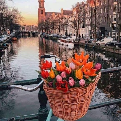 16 days in Amsterdam & Rotterdam, Netherlands: itinerary with Top attractions and Hidden Gems and Shopping