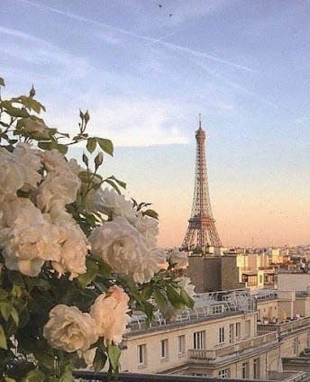 Emily in Paris Trip 2026