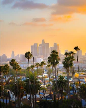 8 days in Los Angeles, USA: itinerary with Top attractions and Nature and outdoor - 8 days travel itinerary in Los Angeles, CA, USA featuring Nature and Iconic Landmark