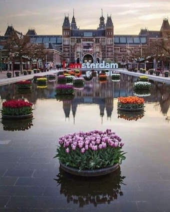 13-day itinerary in Amsterdam & Rotterdam, Netherlands focusing on Top attractions and For kids - 13 days travel itinerary in Amsterdam, Netherlands featuring Museum and Nature