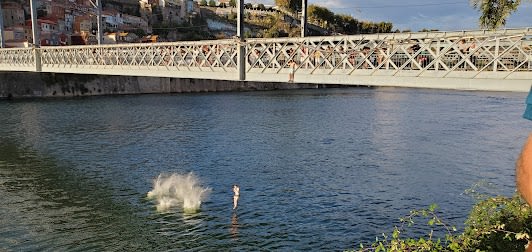 14-day itinerary in Porto & Lisbon, Portugal focusing on Top attractions and Hidden Gems - 14 days travel itinerary in Porto, Portugal featuring Iconic Landmark and Historical Landmark