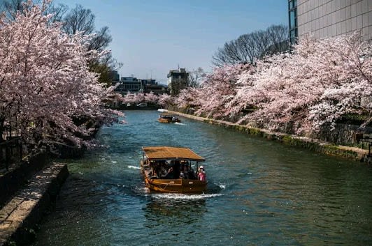 Kyoto & Osaka, Japan 14-day travel plan covering Top attractions and Nature and outdoor - 14 days travel itinerary in Kyoto, Japan featuring Iconic Landmark and Nature