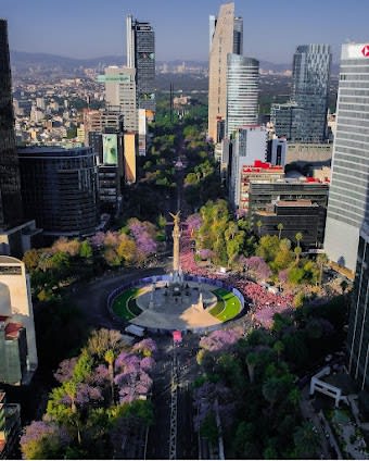 9 days in Mexico City & Cancun, Mexico: itinerary with Top attractions and Nature and outdoor and Hidden Gems - 9 days travel itinerary in Mexico City, Mexico featuring Iconic Landmark and Museum