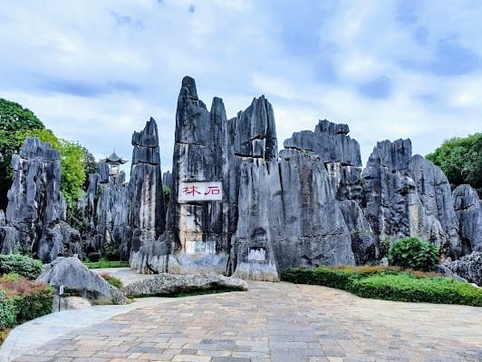 Stone Forest