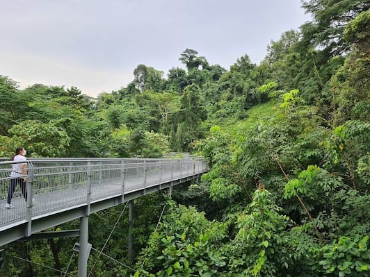 Southern Ridges