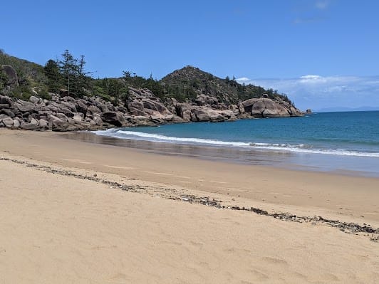 Radical Bay
