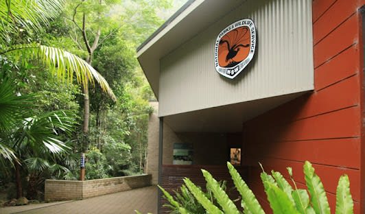 Minamurra Rainforest