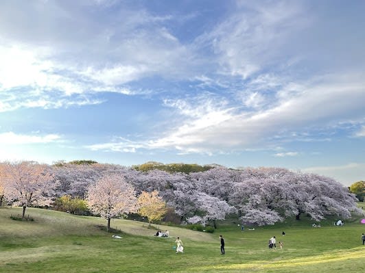 Negishi Forest Park