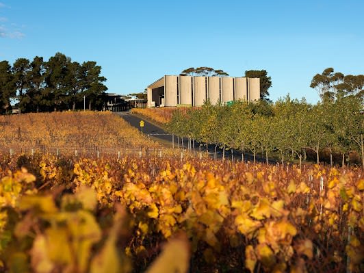 Moorilla Winery