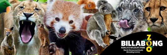 Billabong Zoo