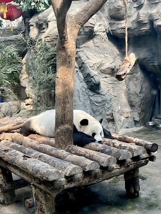 Beijing Zoo
