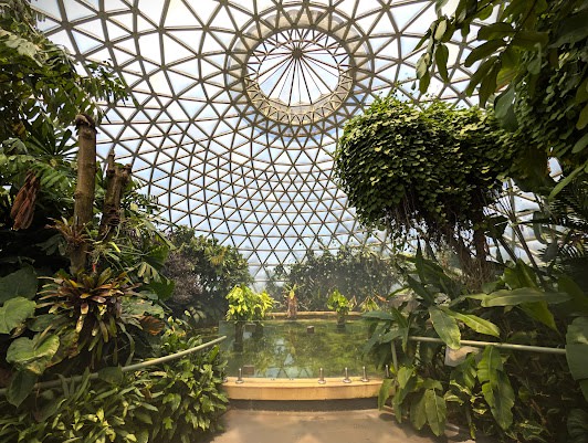 Brisbane Botanic Gardens Mt Coot-tha