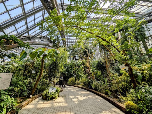 Kyoto Botanical Gardens