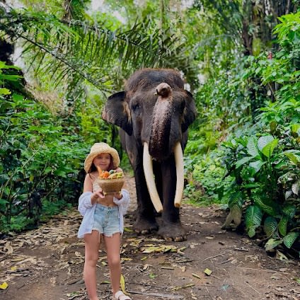 Mason Elephant Park & Lodge