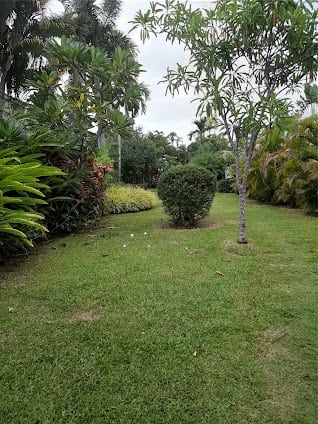 Buterfly park