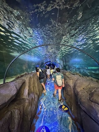 SEA LIFE Sydney Aquarium