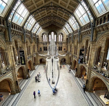Natural History Museum