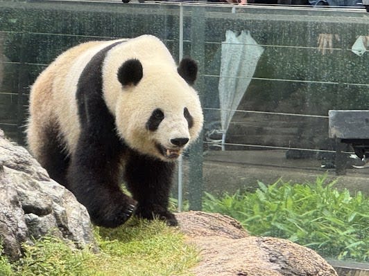 Ueno Zoological Gardens