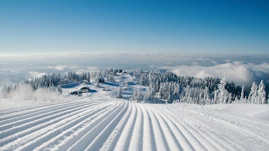 Grouse Mountain