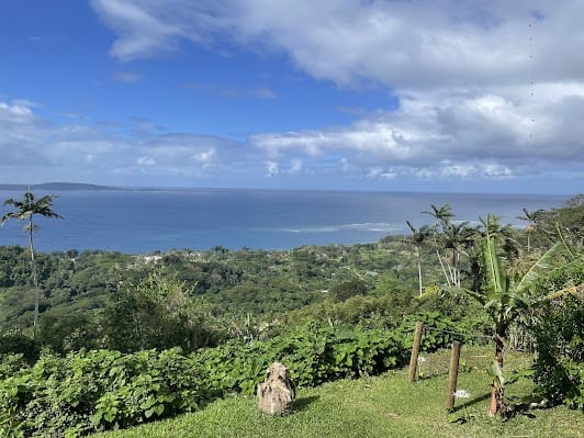 The Summit - Summit Gardens, Vanuatu Jungle Zipline, Sky Bridge, Canyon Rope Swing