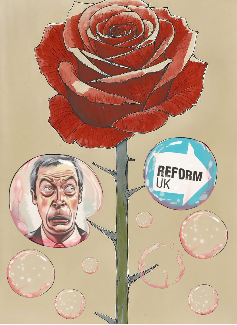 A political cartoon showing a bold red Labour rose with sharp thorns, surrounded by fragile bubbles. One bubble contains a caricature of Nigel Farage looking anxious, another shows the Reform UK logo, and smaller empty bubbles float nearby, symbolising Reform’s fragile surge against Labour.