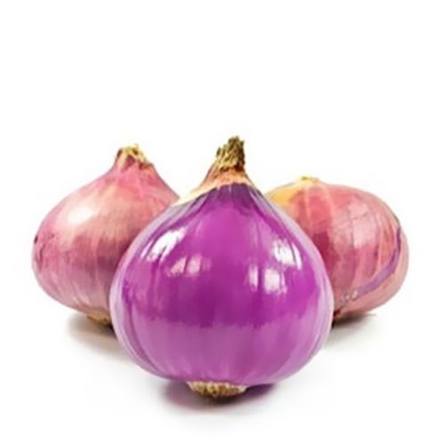Semence Oignon Violet De Galmi