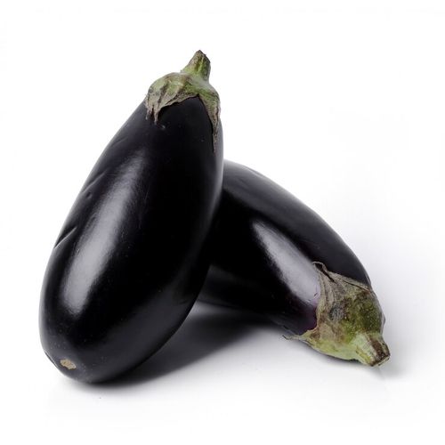 Semence Aubergine Black Beauty