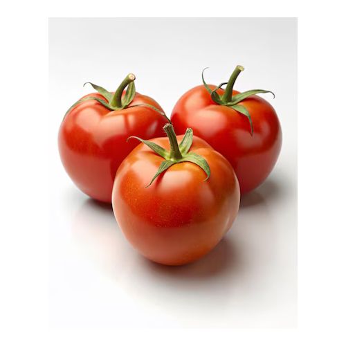Semence Tomate Uc 82 B