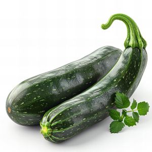 Semence Courgette F1 Aurore